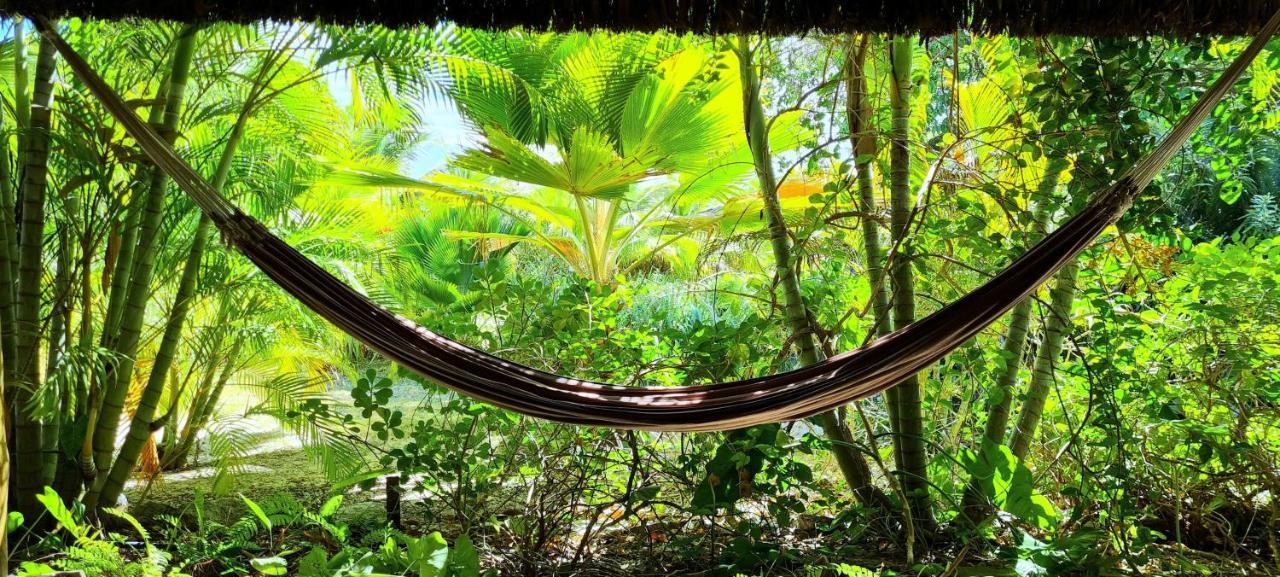 Castelo Vendom Ecolodge Parajuru Ngoại thất bức ảnh