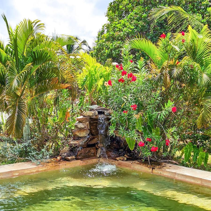 Castelo Vendom Ecolodge Parajuru Ngoại thất bức ảnh