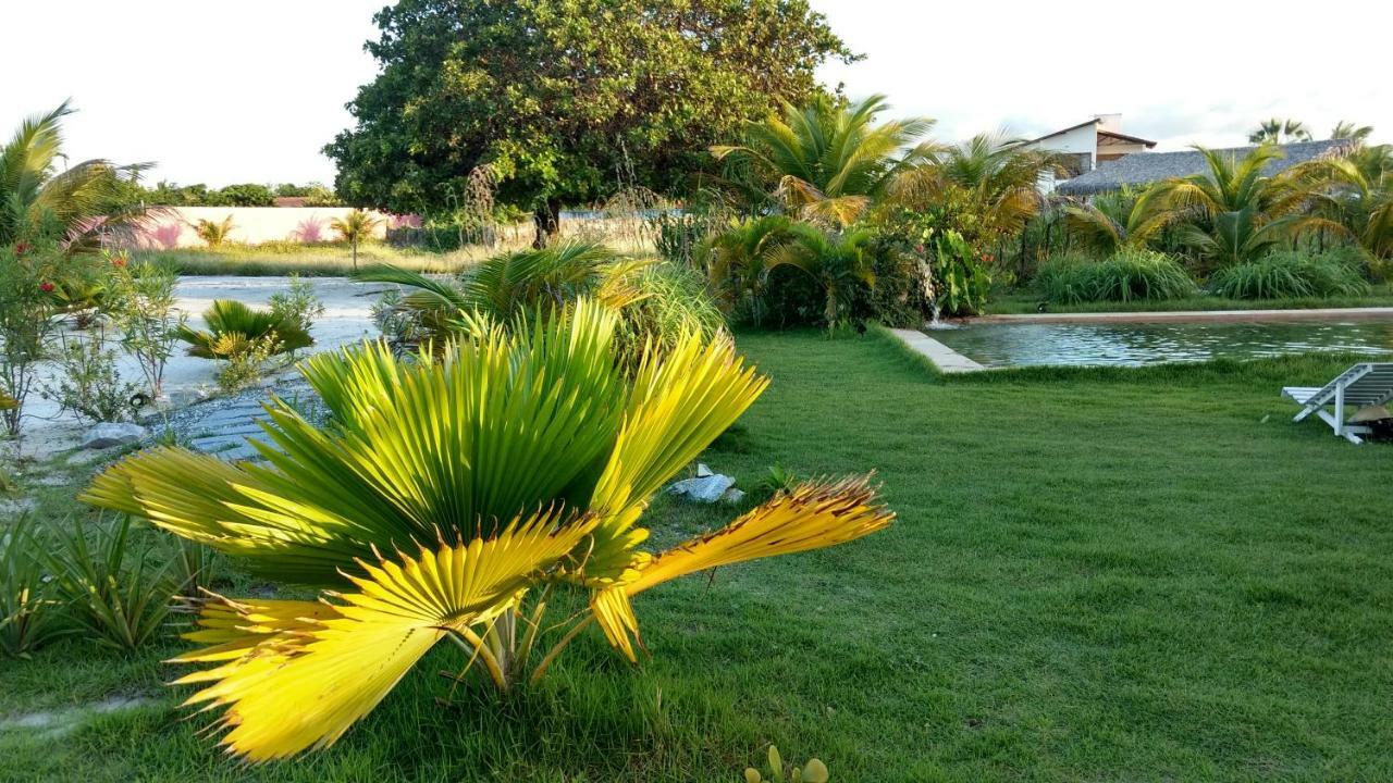 Castelo Vendom Ecolodge Parajuru Ngoại thất bức ảnh