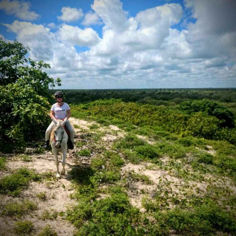 Castelo Vendom Ecolodge Parajuru Ngoại thất bức ảnh
