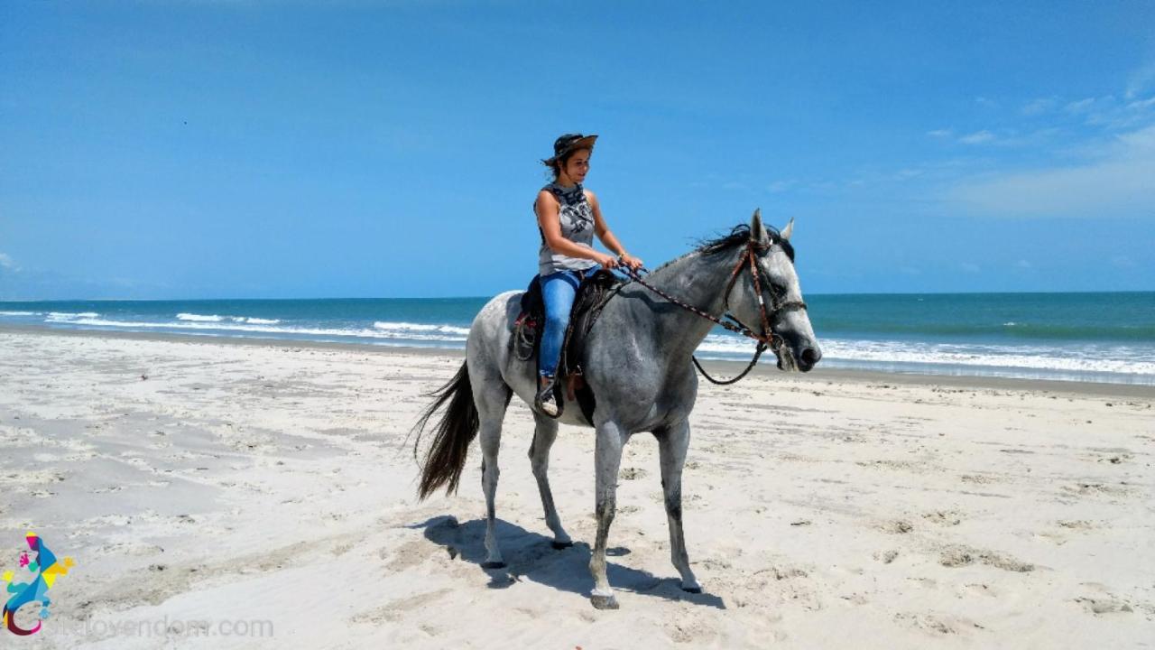 Castelo Vendom Ecolodge Parajuru Ngoại thất bức ảnh